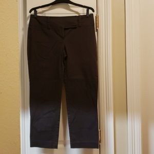 Ann Taylor Capris
